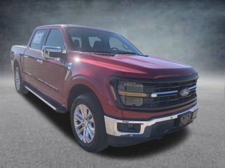 New 2025 Ford F150 XLT w/ Equipment Group 302A MID image 1
