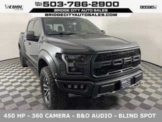 Used 2019 Ford F150 Raptor image 1