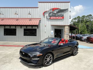 Used 2019 Ford Mustang Premium w/ Equipment Group 201A image 1