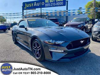 Used 2018 Ford Mustang Premium w/ Equipment Group 201A image 1