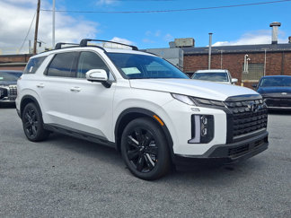 New 2025 Hyundai Palisade XRT image 1