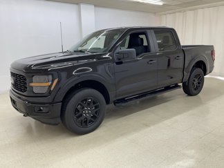 New 2025 Ford F150 STX w/ STX Black Appearance Package image 1