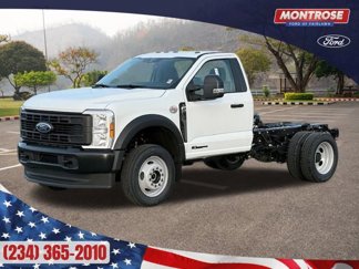New 2025 Ford F550 4x4 Regular Cab Super Duty image 1