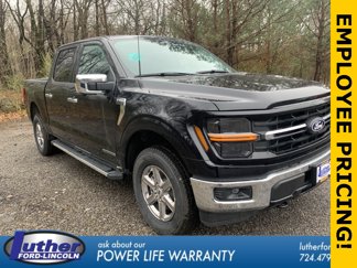 New 2025 Ford F150 XLT w/ Equipment Group 302A MID image 1