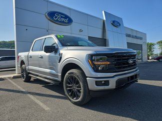 New 2025 Ford F150 XLT image 1