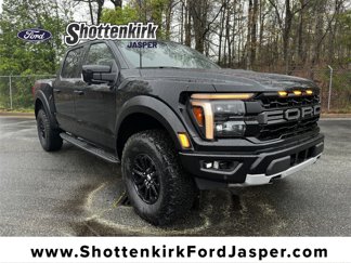 New 2025 Ford F150 Raptor image 1