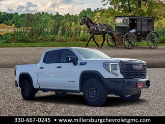 New 2024 GMC Sierra 1500 AT4X w/ AT4X AEV Edition image 1