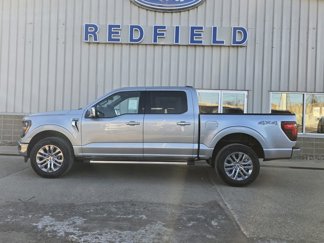 New 2025 Ford F150 XLT image 1
