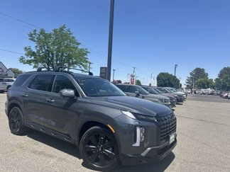 New 2025 Hyundai Palisade XRT image 1