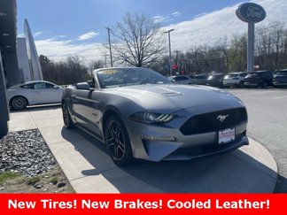 Certified 2022 Ford Mustang Premium image 1