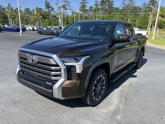New 2025 Toyota Tundra Limited image 1