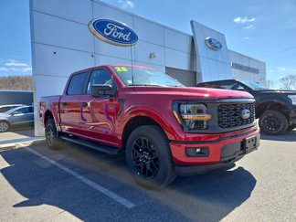 New 2025 Ford F150 STX image 1