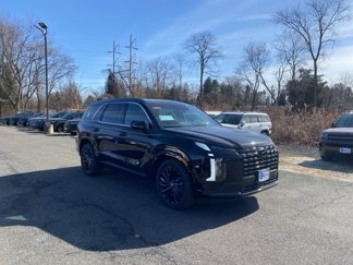 New 2025 Hyundai Palisade Calligraphy image 1