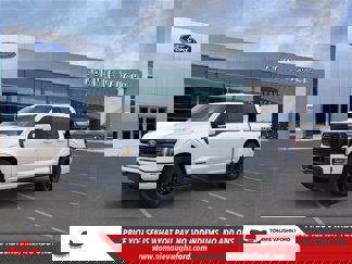 New 2025 Ford F150 Platinum image 1