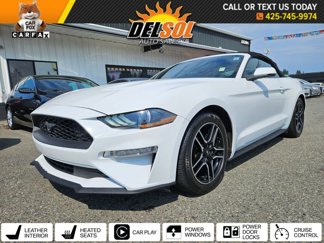 Used 2020 Ford Mustang Premium image 1
