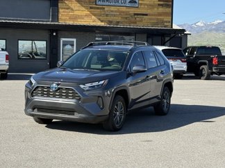 Used 2024 Toyota RAV4 XLE image 1