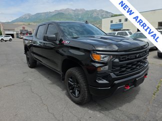 Used 2024 Chevrolet Silverado 1500 Custom Trail Boss image 1