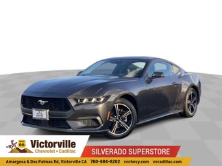 Used 2024 Ford Mustang Coupe image 1