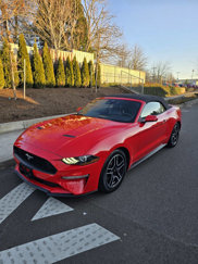 Used 2022 Ford Mustang Premium image 1