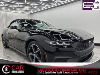 Used 2024 Ford Mustang Premium image 1