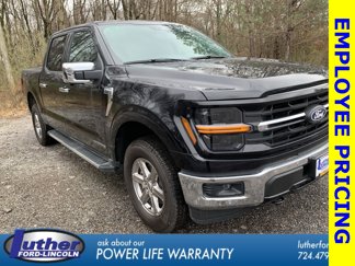 New 2025 Ford F150 XLT w/ Equipment Group 302A MID image 1