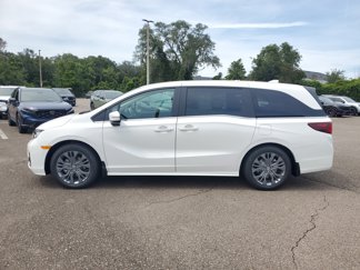 New 2026 Honda Odyssey Touring video 2