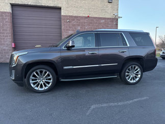 Used 2017 Cadillac Escalade Luxury image 1