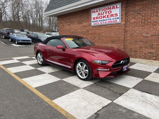 Used 2019 Ford Mustang Premium w/ Equipment Group 201A image 1