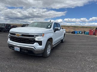 Used 2024 Chevrolet Silverado 1500 LT image 1