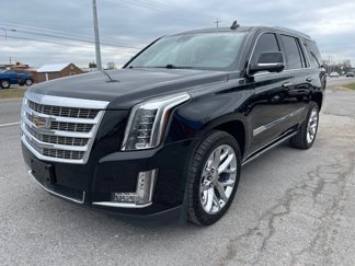 Used 2017 Cadillac Escalade Premium Luxury image 1