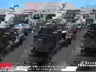 New 2025 Toyota 4Runner TRD Pro image 1