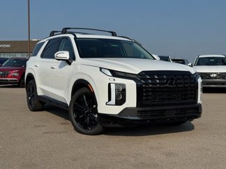 New 2025 Hyundai Palisade XRT image 1