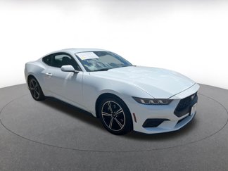 Used 2024 Ford Mustang Premium image 1