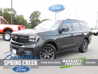 New 2025 Ford Expedition Platinum image 1