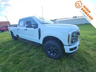 New 2025 Ford F350 XL w/ STX Appearance Package image 1