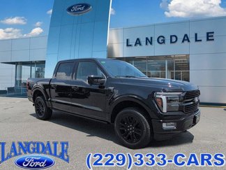 New 2025 Ford F150 Platinum image 1