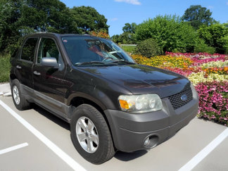 Used 2007 Ford Escape XLT image 1