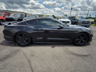 Used 2022 Ford Mustang Premium w/ Equipment Group 101A image 1