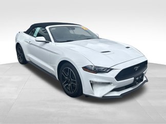 Used 2023 Ford Mustang Premium image 1