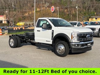 New 2025 Ford F550 4x4 Regular Cab Super Duty image 1