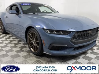 Certified 2024 Ford Mustang Premium image 1