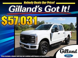 New 2025 Ford F250 XL w/ STX Appearance Package image 1
