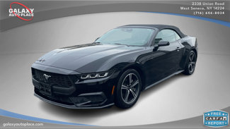 Used 2024 Ford Mustang Premium image 1