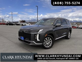 New 2025 Hyundai Palisade SEL image 1