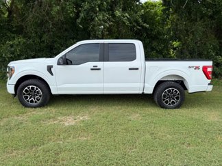 Used 2023 Ford F150 XL w/ STX Appearance Package image 1