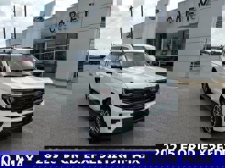 New 2025 Ford Expedition Max Active image 1