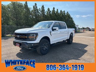 New 2025 Ford F150 Tremor image 1