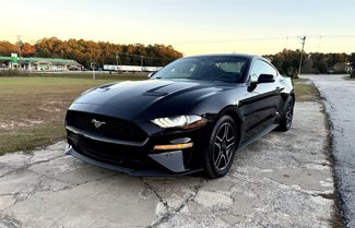 Used 2019 Ford Mustang Coupe w/ Equipment Group 101A image 1
