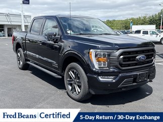 Certified 2023 Ford F150 XLT w/ Equipment Group 302A High image 1