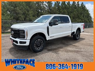 New 2025 Ford F250 Platinum image 1